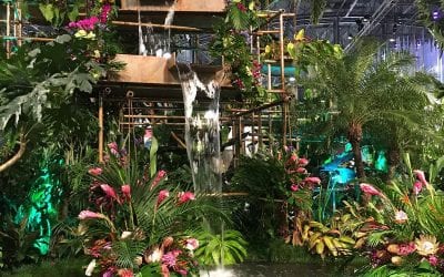 Despite Wintery Blast, Philly Flower Show Attracts Thousands of Visitors