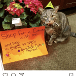goodwill kitty is advertising for pet adoption and florists