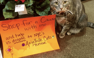 Feline Mascot Generates Goodwill, Foot Traffic for NYC Florist