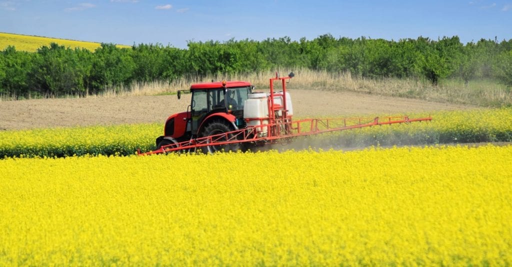 tractor plowing a field of yellow flowers