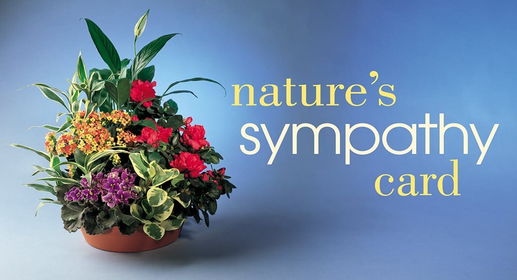 poster of nature's sympathy postcard