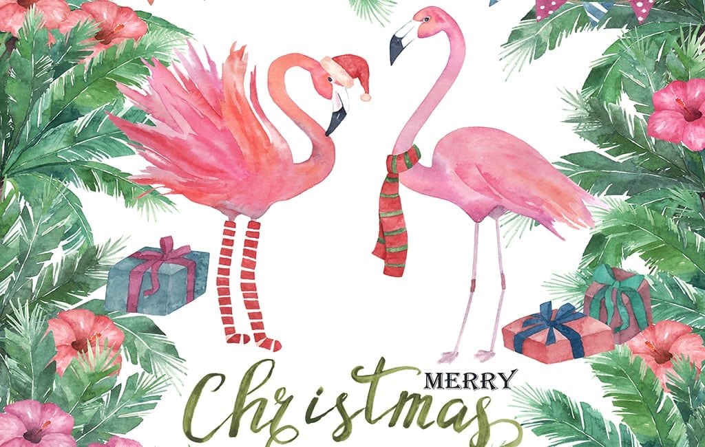 Pink Flamingos in Holiday gear