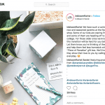 In Bloom Florist is pitching care packages with plants and other luxury goodies for college students.