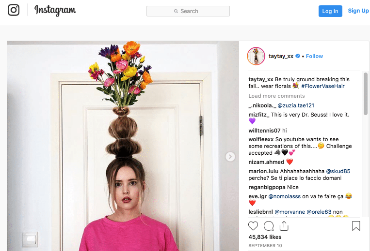 flower vase hair pairs a sky high dr seuss esque - female doctors to follow on instagram