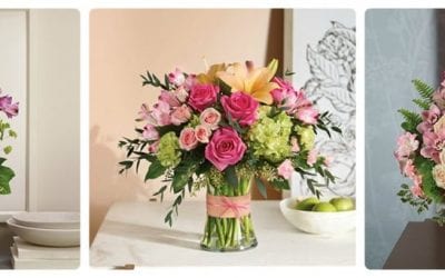 Teleflora Unveils New Floral Selection Guide