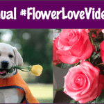 Jaclyn Fiola’s "Let Happiness Bloom" video was the grand prize winner for the first #FlowerLoveVideoContest.