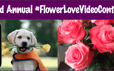 FMRF and AFE Launch Second Annual #FlowerLoveVideoContest