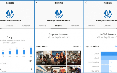 Understanding Insights, Instagram’s Free Analytics Tool