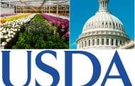 Commercial Floriculture Survey: Responses Needed