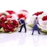 Miniature people : Team worker with Red roses and white roses on white backgroud, valentine day lover concept.