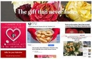 SAF Asks Companies, Publications to Reconsider Negative V-Day Ads