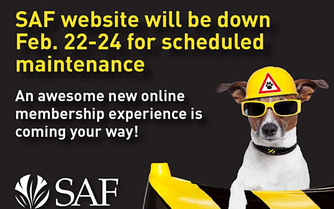 SAF Website Will Be Offline Feb. 22-24