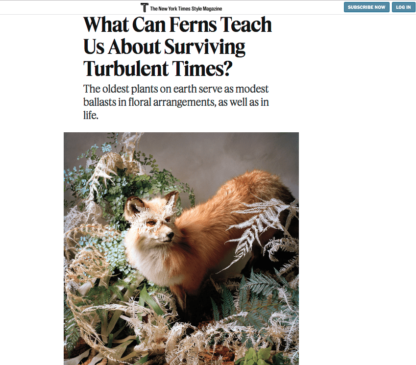 Ferns being covered in the New York Times articles about historical appeal