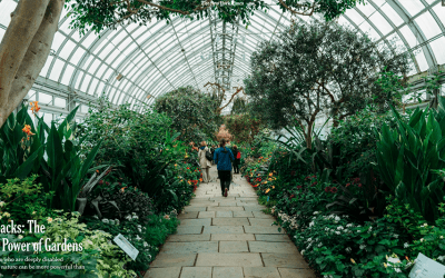 New York Times Op-Ed Calls Gardens ‘Essential to the Creative Process’