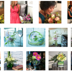 SAF’s StressLess Online Resource Center includes 14 floral photographs for members to use in their blogs, newsletters, social media posts, web pages, ads, and more.