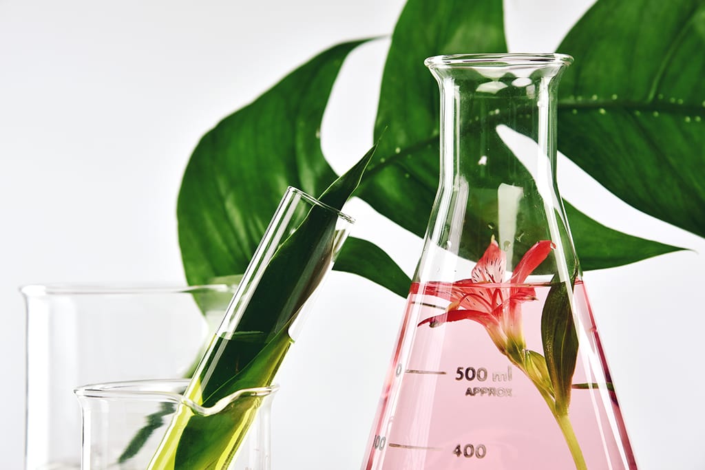 SAF Submits Comments Supporting Streamlined Biotech Regulations