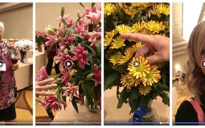 Florists Look to Outstanding Varieties to Fast-Track Training