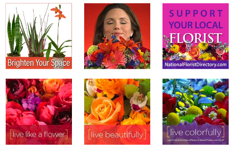 Industry Pushes Proactive Message: Flowers Create Calm