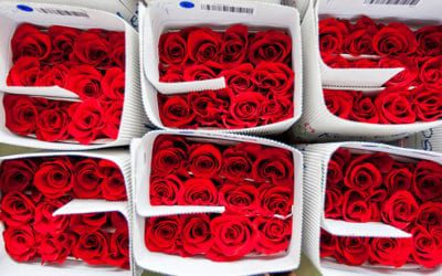 With Addition of Roses to GSP, Industry Businesses Stand to Save Tens of Millions