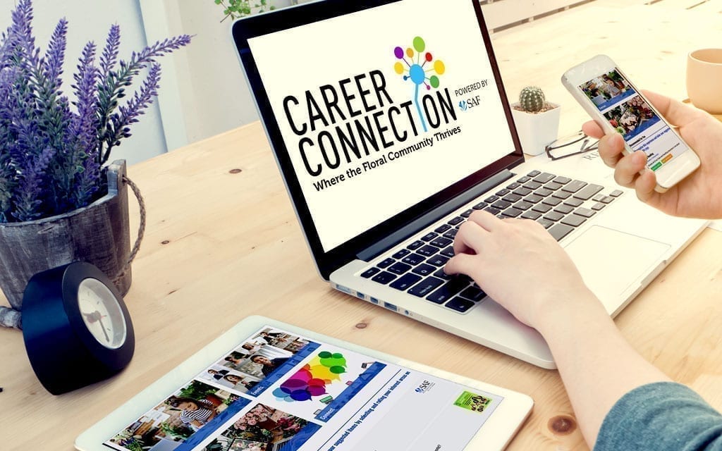 Career Connections