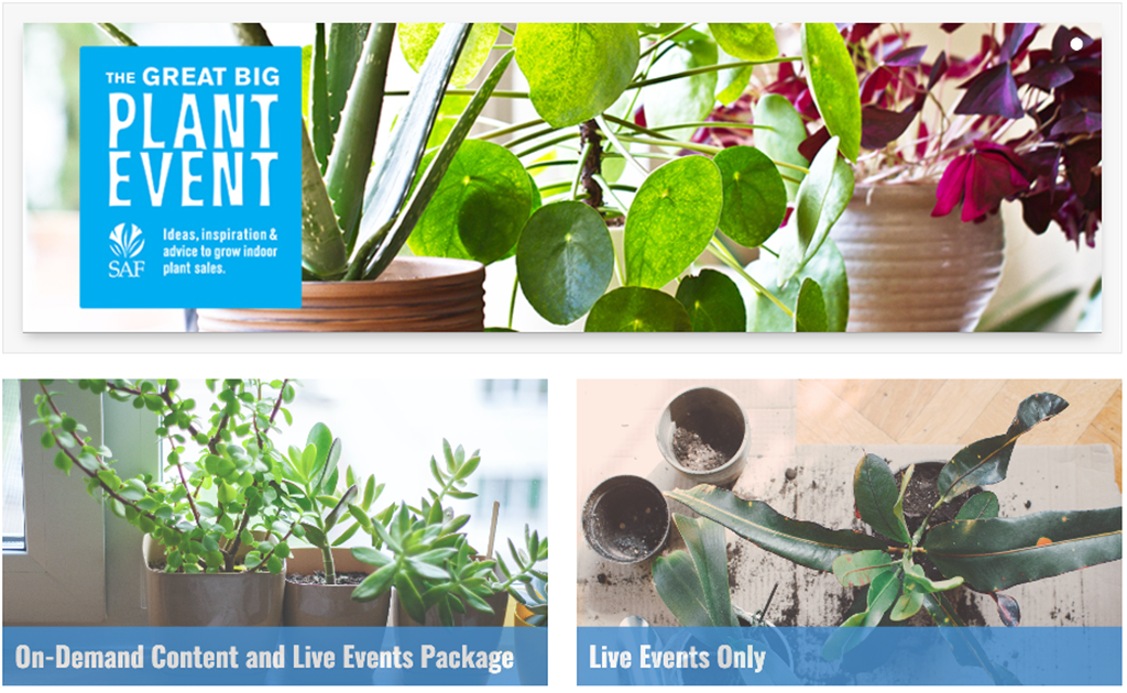 Plantfluencer Shares Tips to Create Loyal Plant Customers