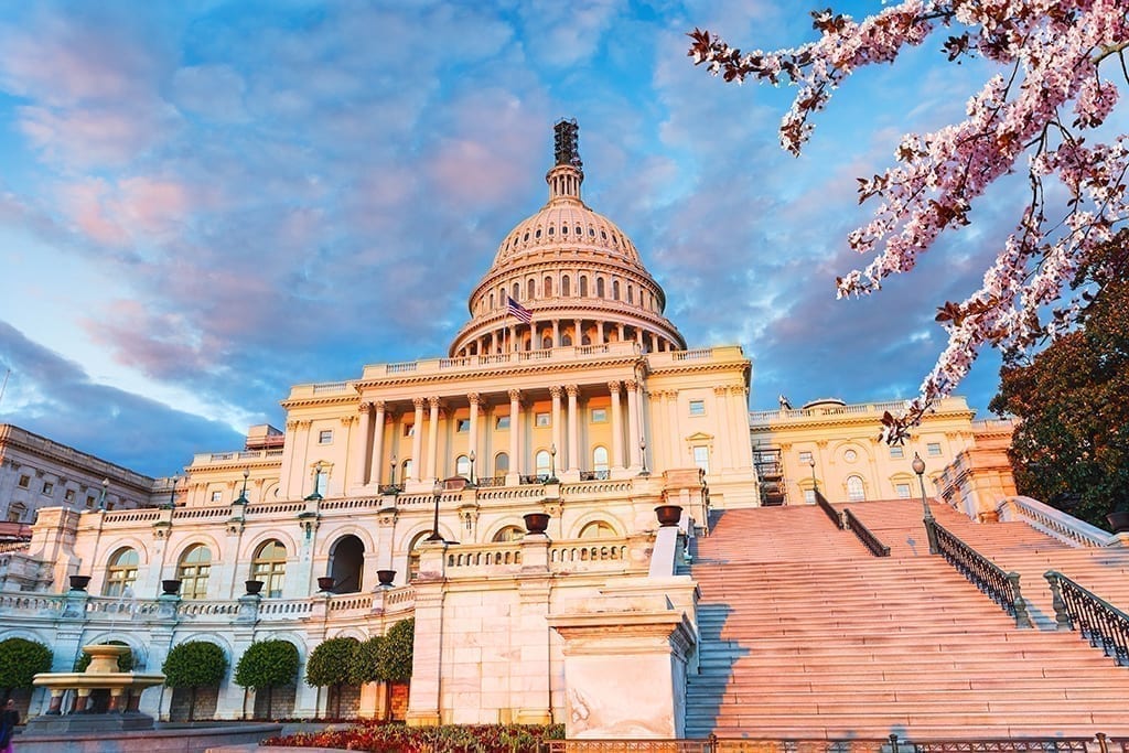 Advocacy Series: Why This Year’s CAD Advocacy Meetings Matter Even More
