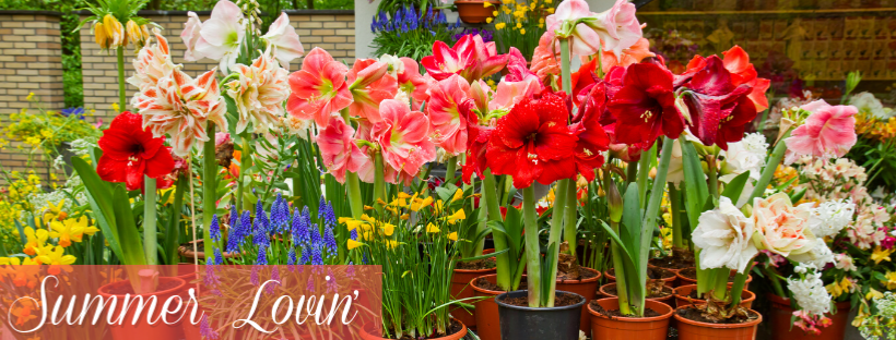 Encourage Customers to Connect with Flowers this Summer