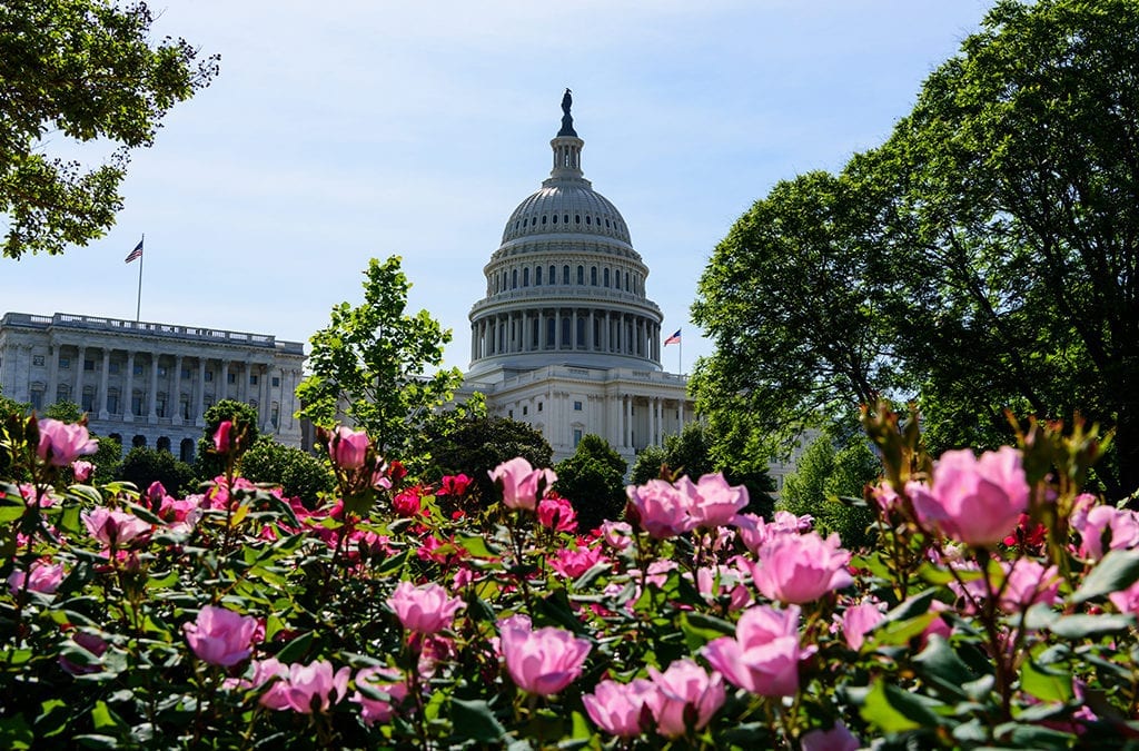 Make a Congressional Connection this Summer