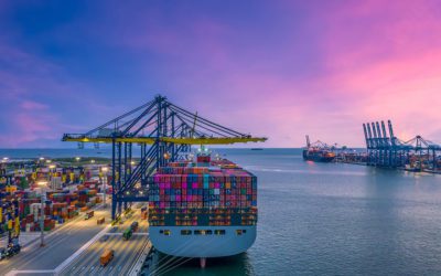 Ocean Freight Helps Meet Demand