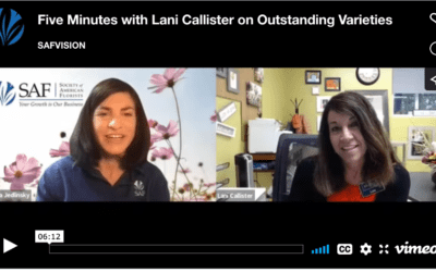 Five Minutes with Lani Callister on Outstanding Varieties