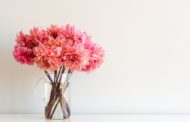 Long-Live Dahlias! Tips for Longer Vase Life