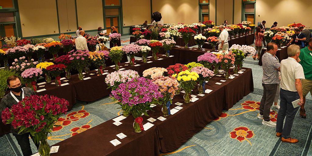 Flower Buyers and Growers Prep for Outstanding Varieties Competition