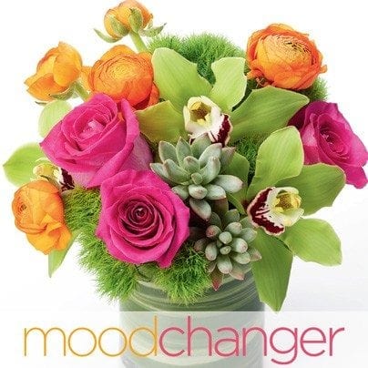 2015MarketKit_MoodChanger_404