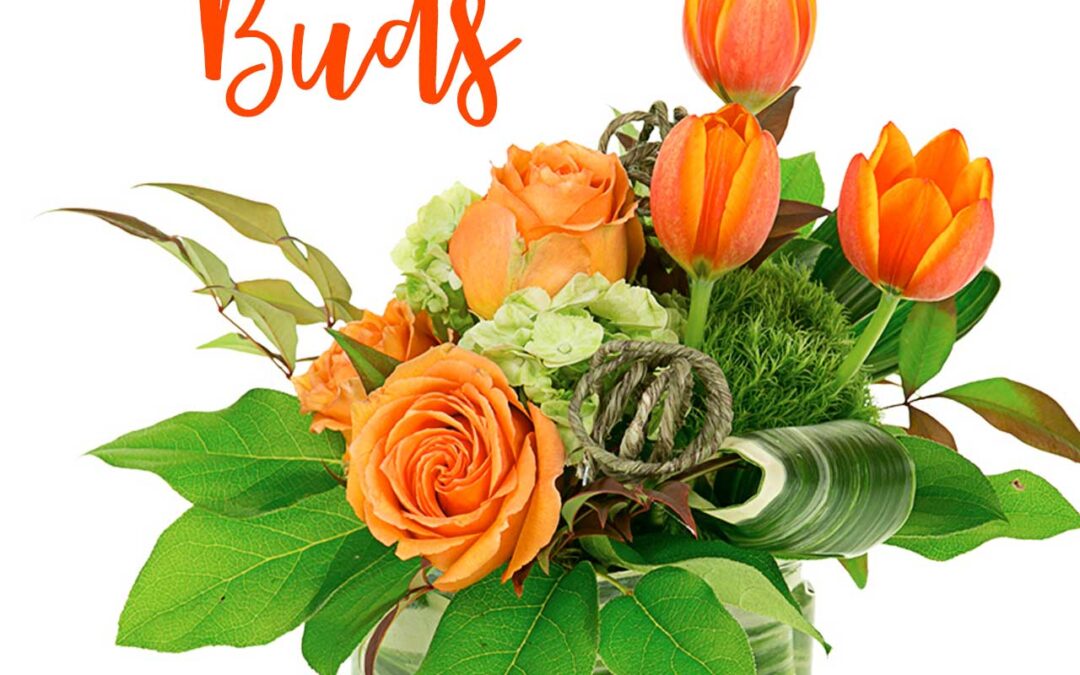 FathersDay-1280-SendBuds