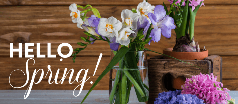 Hello-Spring-2-820