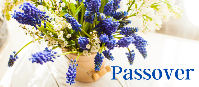 Passover-Hyacinths-820