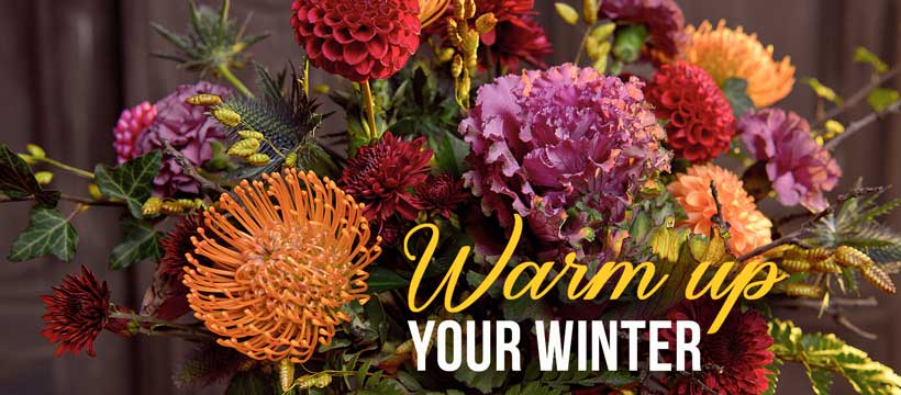 Winter-WarmUp-820×360-1