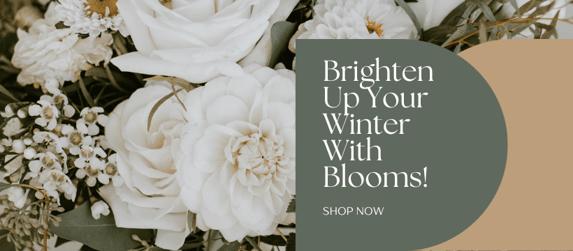 brighten-banner