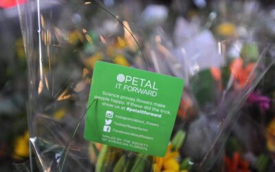 Capitalize on the Flexibility of Petal It Forward to Make it Work for You