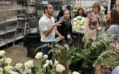 How An Event Florist Grew Sales by 2400%