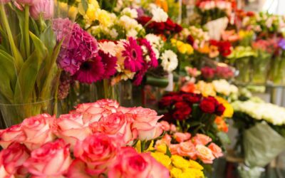 2024 Floral Sales ‘Okay’, Up from 2019  