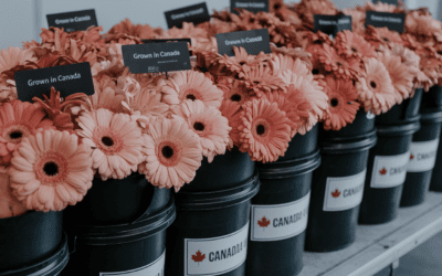 Floral Industry Braces for Tariffs