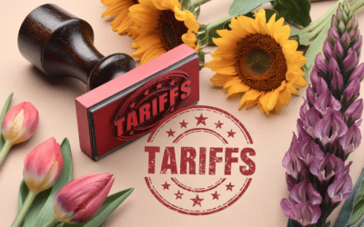 Floral Industry Adapts to Tariff Turmoil 