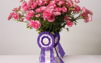 Ranunculus ‘Moderna Dolce’ Wins Best in Show  