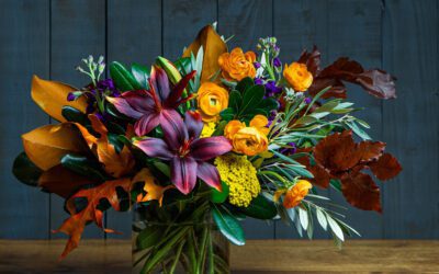 Florida Growers Turn Adversity Into Innovation