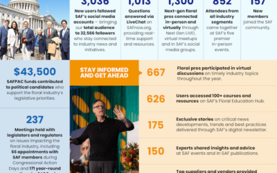 2025 in Review: SAF’s Big Wins 