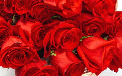 Protect Valentine’s Day Blooms From Farm to Finish 