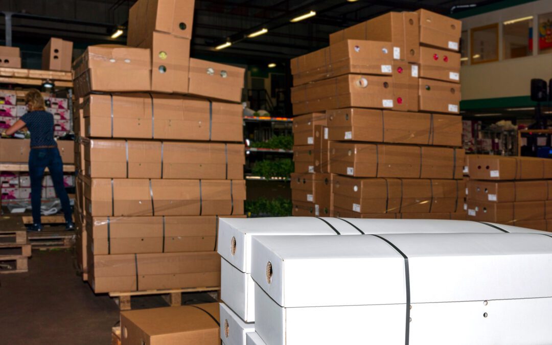 Understand the Forces Reshaping Floral Wholesale 