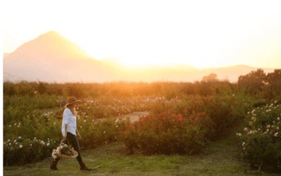 What’s Driving the ‘Resurgence’ of Local Growers? 