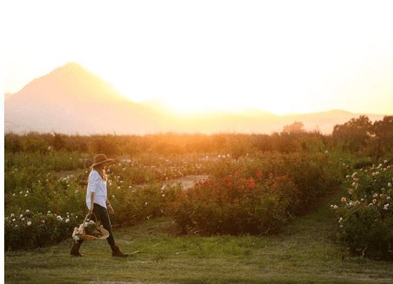 What’s Driving the ‘Resurgence’ of Local Growers? 